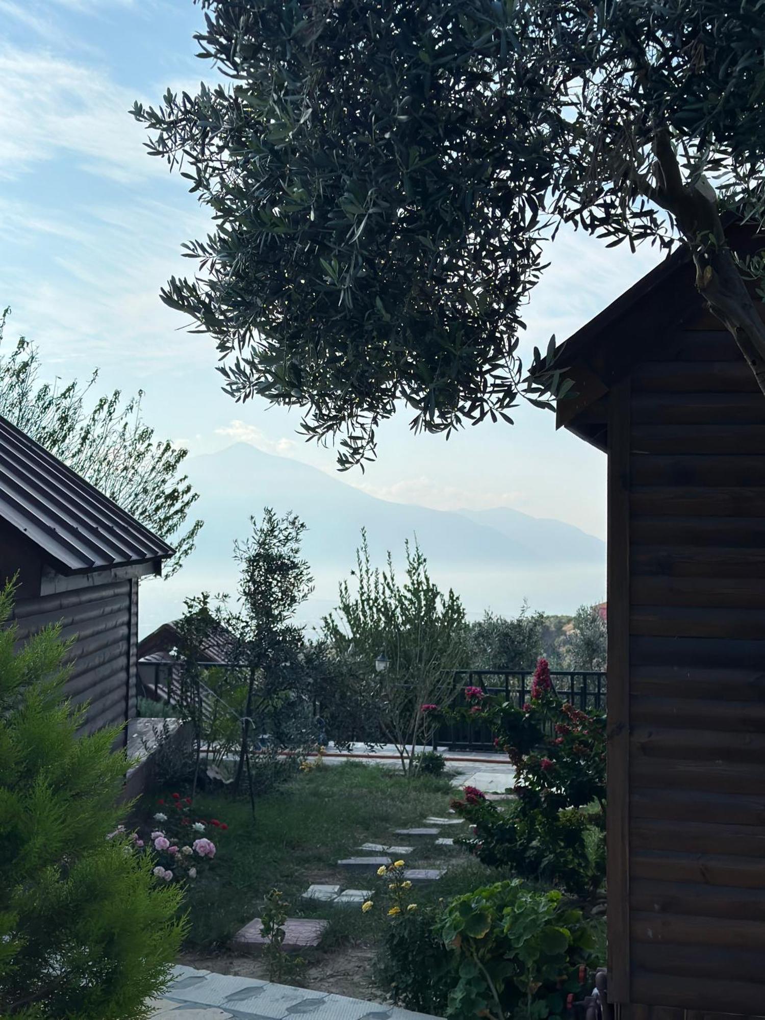 Luna Home Club Samandag Bagian luar foto